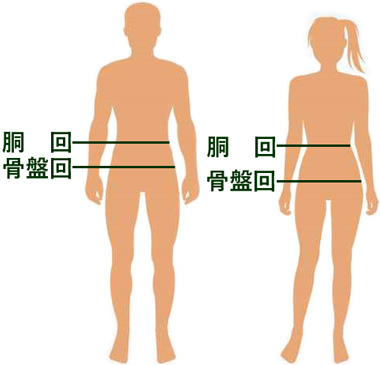 腰痛ベルトのサイズ計測位置